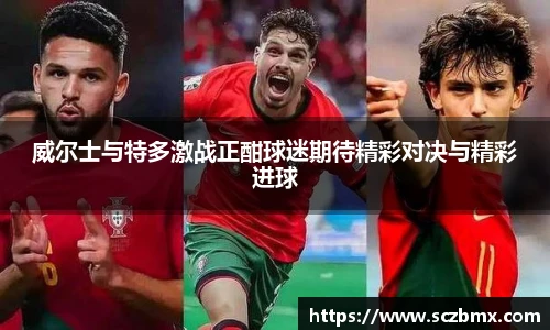 威尔士与特多激战正酣球迷期待精彩对决与精彩进球